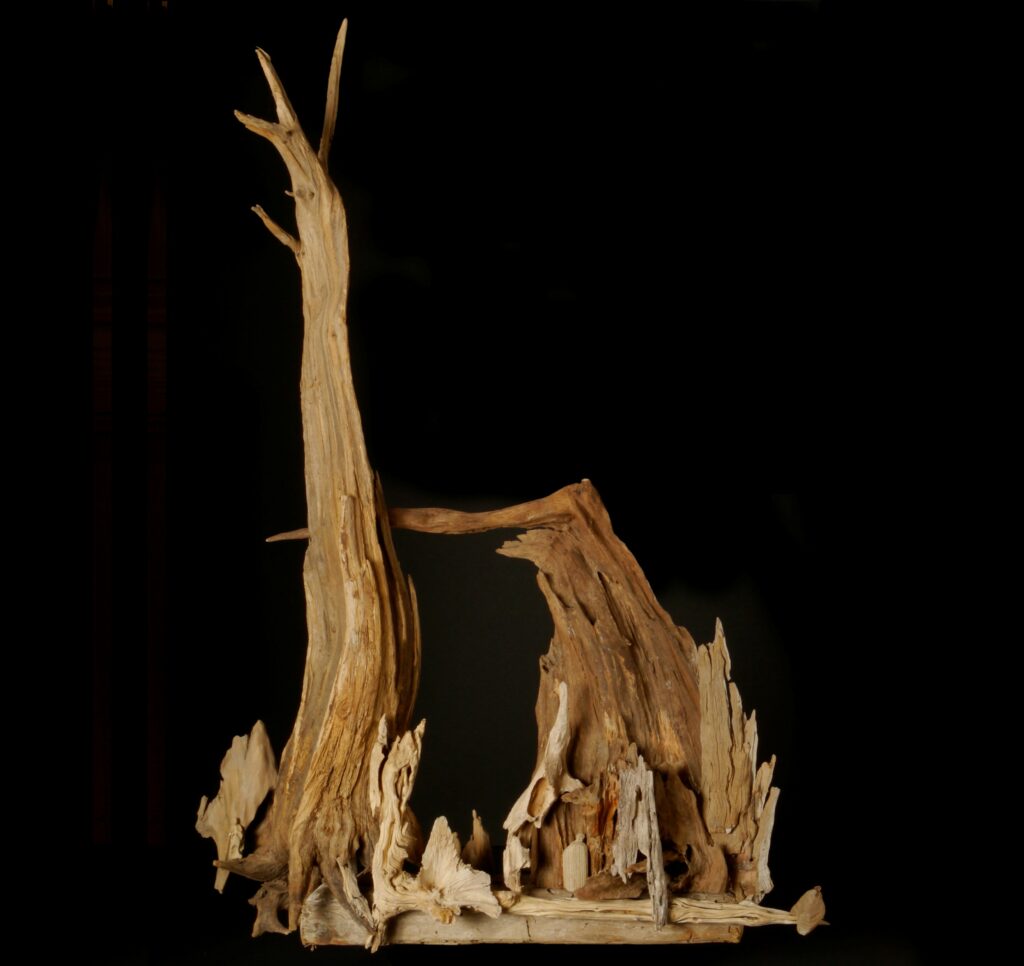 Cité des arbres