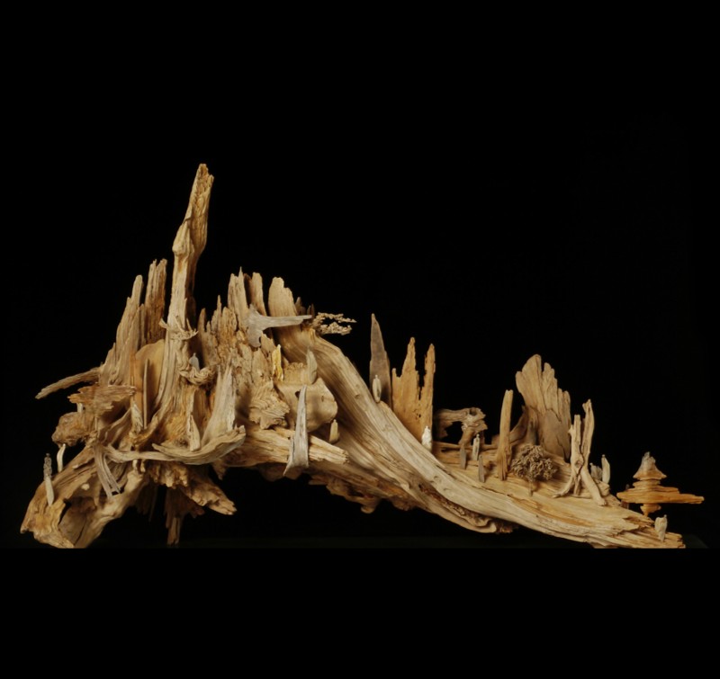 Mégalopole